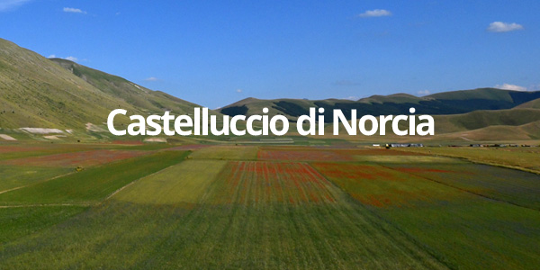 castelluccio di norcia